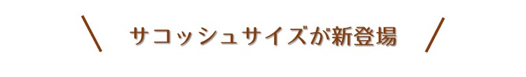 サコッシュサイズが新登場